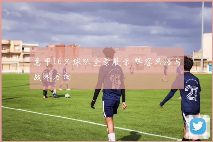 意甲16只球队全景展示 阵容风格与战术方向