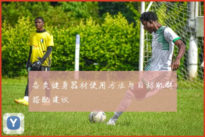 各类健身器材使用方法与目标肌群搭配建议