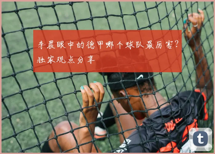 李晨眼中的德甲哪个球队最厉害？独家观点分享